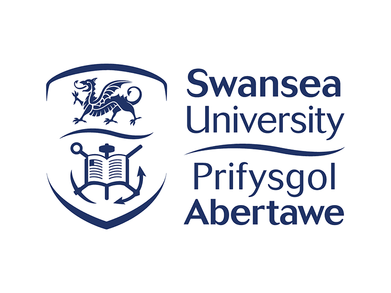 Swansea University